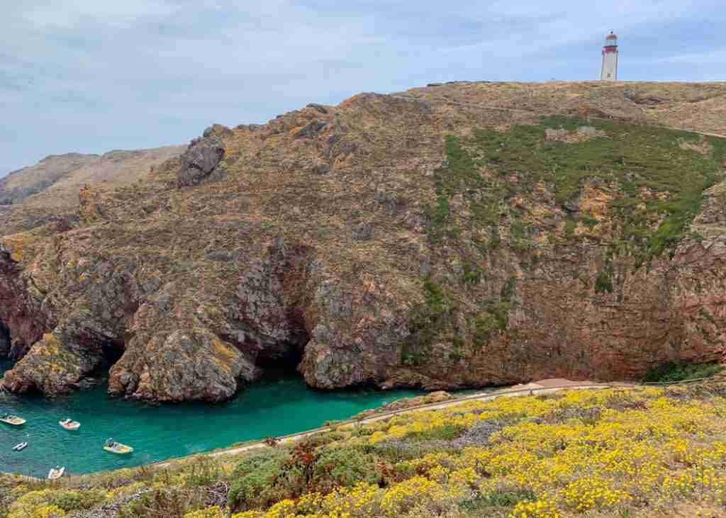 berlenga island tour from peniche